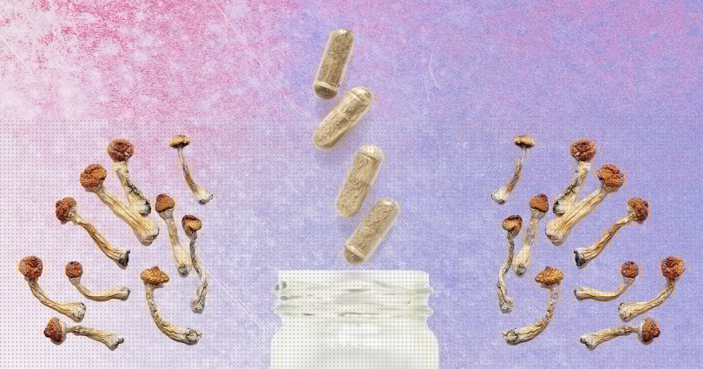 Why You Should Be Micro-dosing Psilocybin Starting Yesterday