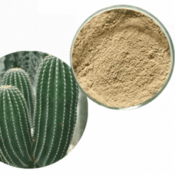 Buy San Pedro Cactus Powder